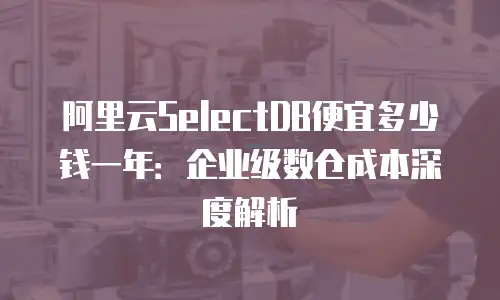 阿里云SelectDB便宜多少钱一年：企业级数仓成本深度解析