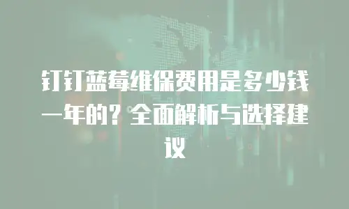 钉钉蓝莓维保费用是多少钱一年的？全面解析与选择建议