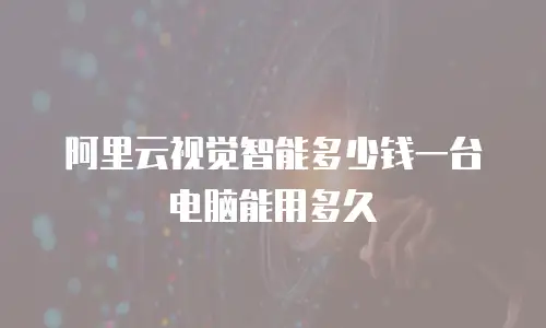 阿里云视觉智能多少钱一台电脑能用多久