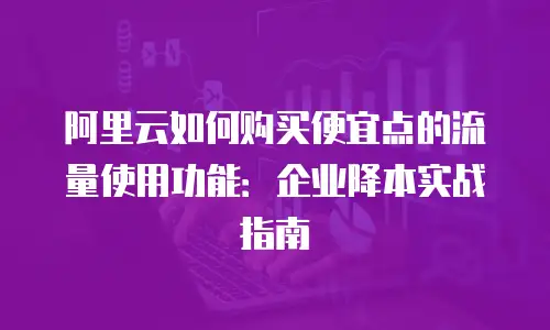 阿里云如何购买便宜点的流量使用功能：企业降本实战指南