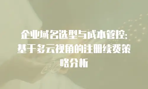 企业域名选型与成本管控：基于多云视角的注册续费策略分析