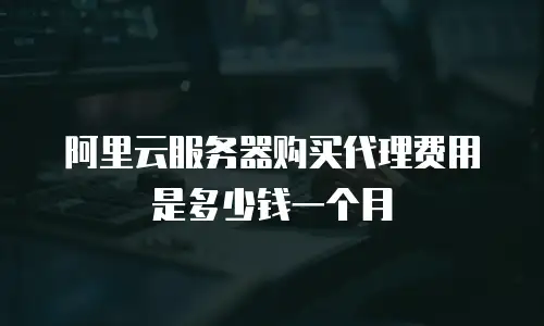 阿里云服务器购买代理费用是多少钱一个月