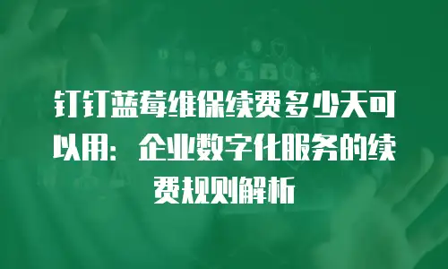钉钉蓝莓维保续费多少天可以用：企业数字化服务的续费规则解析