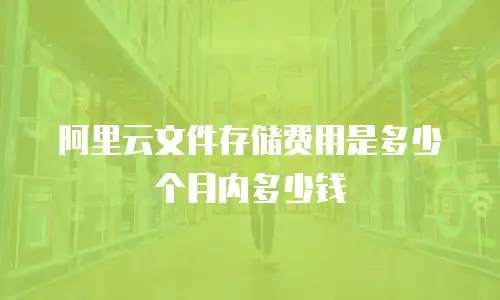 阿里云文件存储费用是多少个月内多少钱