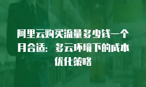 阿里云购买流量多少钱一个月合适：多云环境下的成本优化策略