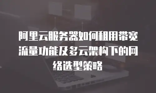 阿里云服务器如何租用带宽流量功能及多云架构下的网络选型策略