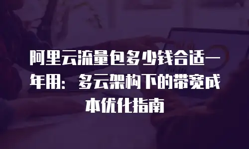 阿里云流量包多少钱合适一年用：多云架构下的带宽成本优化指南