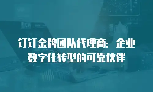 钉钉金牌团队代理商：企业数字化转型的可靠伙伴
