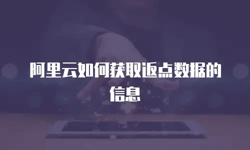 阿里云如何获取返点数据的信息