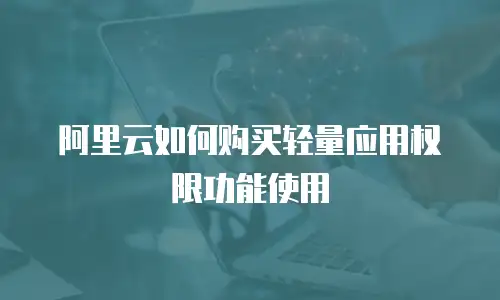 阿里云如何购买轻量应用权限功能使用