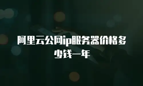 阿里云公网ip服务器价格多少钱一年