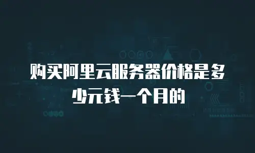 购买阿里云服务器价格是多少元钱一个月的