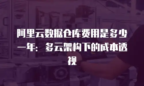 阿里云数据仓库费用是多少一年：多云架构下的成本透视