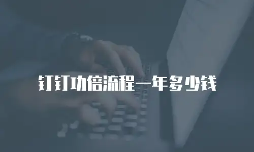 钉钉功倍流程一年多少钱