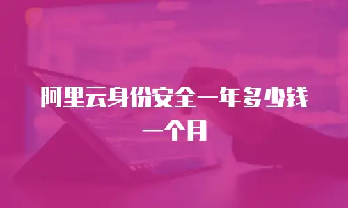 阿里云身份安全一年多少钱一个月