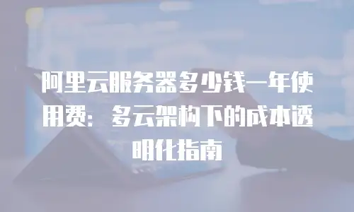 阿里云服务器多少钱一年使用费：多云架构下的成本透明化指南
