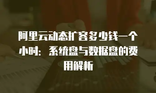 阿里云动态扩容多少钱一个小时：系统盘与数据盘的费用解析