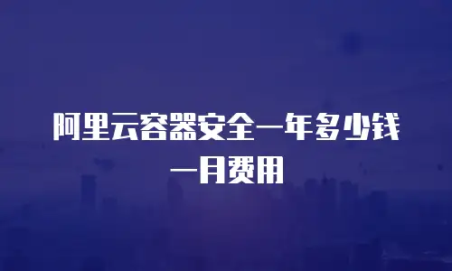 阿里云容器安全一年多少钱一月费用