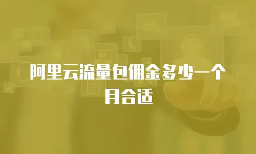 阿里云流量包佣金多少一个月合适