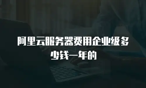 阿里云服务器费用企业级多少钱一年的