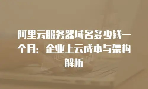 阿里云服务器域名多少钱一个月：企业上云成本与架构解析