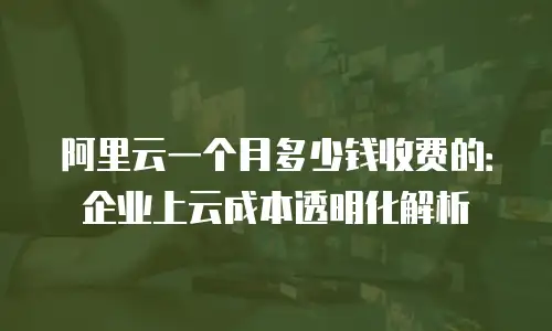 阿里云一个月多少钱收费的：企业上云成本透明化解析