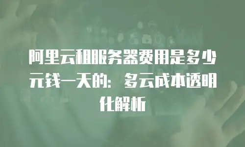 阿里云租服务器费用是多少元钱一天的：多云成本透明化解析