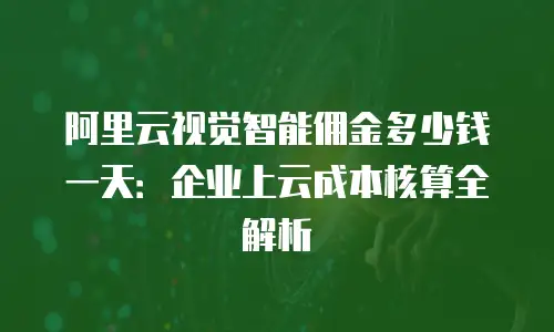 阿里云视觉智能佣金多少钱一天：企业上云成本核算全解析