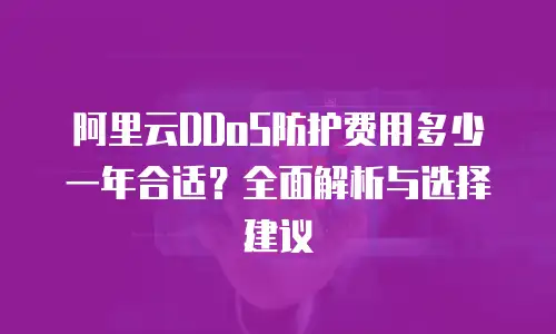 阿里云DDoS防护费用多少一年合适？全面解析与选择建议