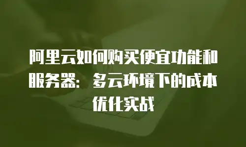 阿里云如何购买便宜功能和服务器：多云环境下的成本优化实战