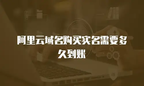 阿里云域名购买实名需要多久到账