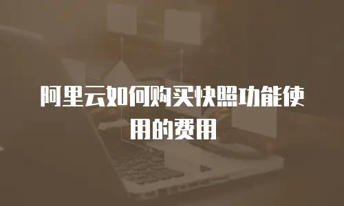 阿里云如何购买快照功能使用的费用