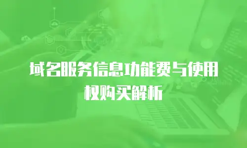 域名服务信息功能费与使用权购买解析