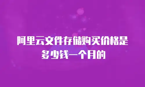 阿里云文件存储购买价格是多少钱一个月的