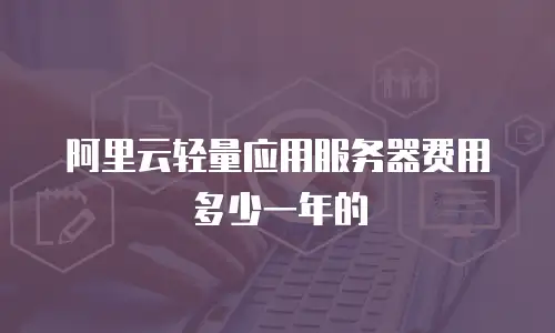 阿里云轻量应用服务器费用多少一年的
