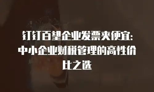 钉钉百望企业发票夹便宜：中小企业财税管理的高性价比之选