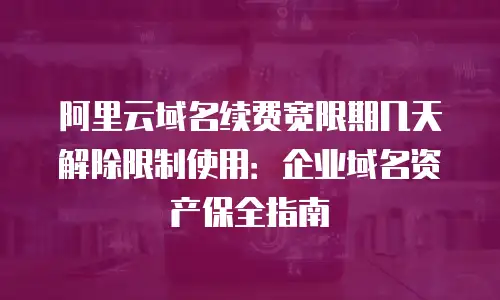 阿里云域名续费宽限期几天解除限制使用：企业域名资产保全指南