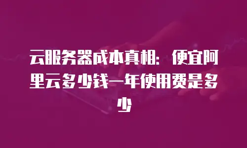 云服务器成本真相：便宜阿里云多少钱一年使用费是多少