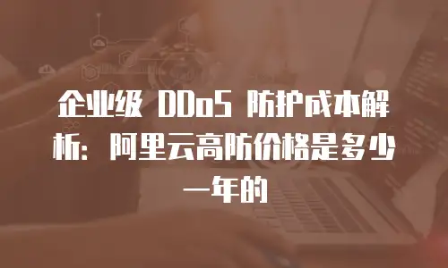企业级 DDoS 防护成本解析：阿里云高防价格是多少一年的