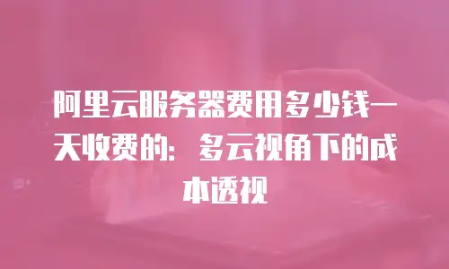 阿里云服务器费用多少钱一天收费的：多云视角下的成本透视