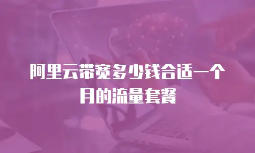阿里云带宽多少钱合适一个月的流量套餐