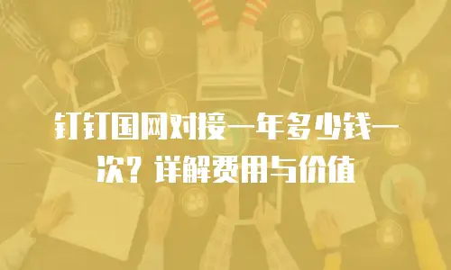 钉钉国网对接一年多少钱一次？详解费用与价值