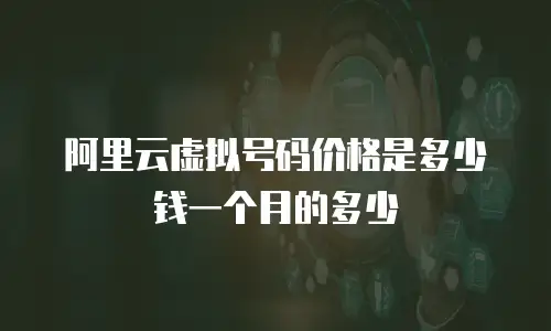 阿里云虚拟号码价格是多少钱一个月的多少