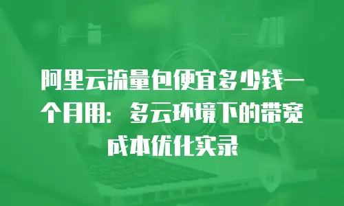 阿里云流量包便宜多少钱一个月用：多云环境下的带宽成本优化实录