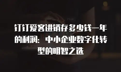 钉钉爱客进销存多少钱一年的利润：中小企业数字化转型的明智之选