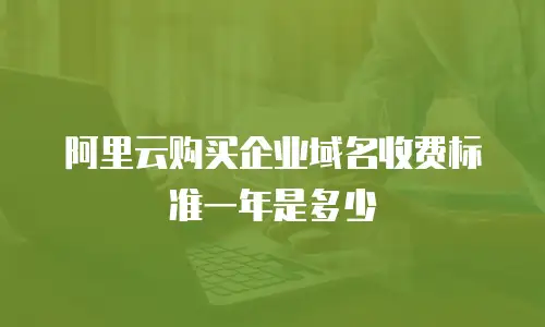 阿里云购买企业域名收费标准一年是多少