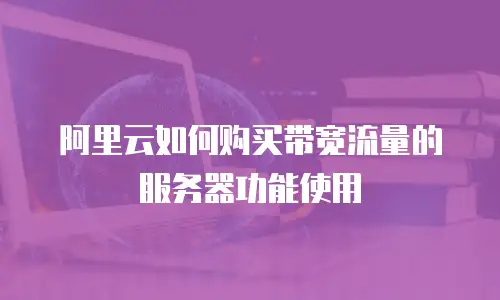 阿里云如何购买带宽流量的服务器功能使用