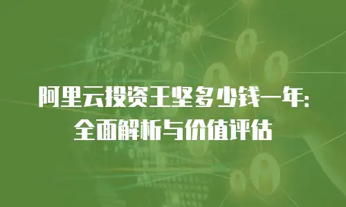 阿里云投资王坚多少钱一年：全面解析与价值评估