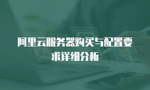 阿里云服务器购买与配置要求详细分析