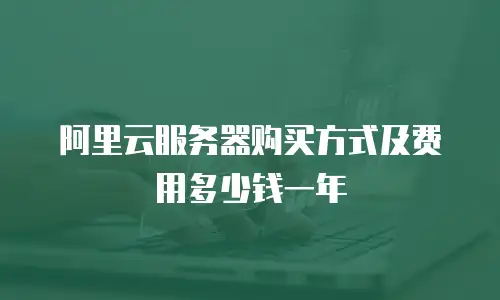 阿里云服务器购买方式及费用多少钱一年